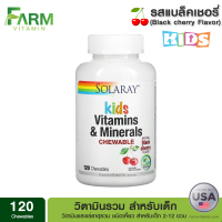 Solaray, Kids Vitamins &amp; Minerals, Chewable, 120 Chewables