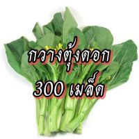 Cantonese vegetable seeds, vegetable seeds, vegetable garden, vegetable seeds 5 baht PFF7 [ไม่ใช่พืช! เป็นเมล็ดพันธุ์] [คลังสินค้าจุด][ขายตรงจากโรงงาน][ของแท้อย่างเป็นทางการ][โปรโมชั่นลดราคา][50 เมล็ดพันธุ์][เมล็ดผลไม้][เมล็ดพันธุ์ผัก][อร่อยจัง][ปลอดภัย][