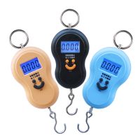 Mini Electronic Scales Digital Display Household Luggage Weighting Hanging Scale Auto Shut off Weighing Device