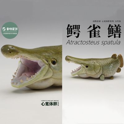 Animal Planet Laugh And Grow Fat Series Ancient Fish Alligator Gar Atractosteus Spatula Ocean Animal Figure Model Decor Toy Gift
