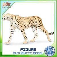 Safari Ltd. : SFR112889 โมเดลเสือชีต้าร์ Cheetah Model Action Figure Cartoon แอกชั่น ฟิกเกอร์ ของเล่น ของสะสม ของเล่นเด็ก ตุ๊กตา Mamy and Buddy