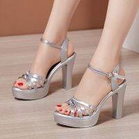 Silver 10 cm high waterproof big natural sandals yard with joker sexy show thin fish mouth high-heeled sandals women summer