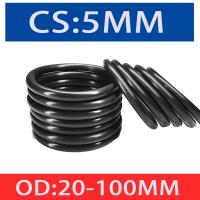 10Pcs/Lot Rubber Ring NBR Sealing O Ring CS 5mm OD20-100mm O-Ring Seal Gasket Ring Washer High Quality For Car Gasket