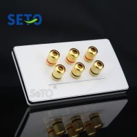 SeTo 120 Type 3 Speaker 6 Binding Post Surround Home Theater Wall Plate Socket Keystone Faceplate