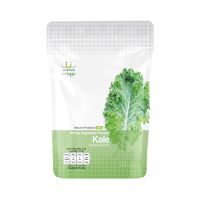 ผงผัก Usmile Kale Whole Vegetables Powder 2.5g.x10 packets  (ผงผักเคล ขนาด 10 ซอง ชนิดผงชงดื่ม)