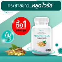 [ส่งฟรี! พร้อมส่ง] FN Krachai Plus กระชายขาวสกัด (1 กระปุก 60 แคปซูล)  กระชายขาวแคปซูล กระชายขาว พลูคาว ขิง