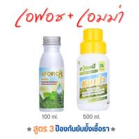 เอฟอช Aforch 100 ซีซี+เอมม่า 500 ซีซี ของแท้ สูตรบำรุงและ ยับยั้ง ป้องกันเชื้อรา รากเน่า ผลเน่า ใบไหม้