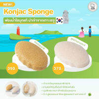 ANI Konjac Sponge ฟองน้ำใยบุกธรรมชาติ 100% นำเข้าจากประเทศเกาหลีใต้ KOREA