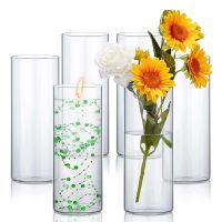 6PCS Glass Cylinder Vases Bulk Tall Cylinder Vase Floating Candle Holders Clear Flower Vase for Floral Wedding Home Decoration