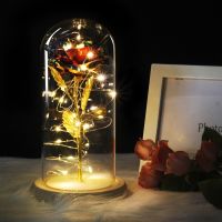 Mutiplecolor เพิ่มขึ้นในโดมแก้วบนฐานไม้สำหรับของขวัญวาเลนไทน์ LED Rose Lamps Christmas