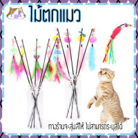 ไม้ตกแมว ของเล่นแมว cat toy [ไม้]