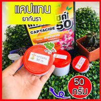 ยากันรา ยากันเชื้อราแคคตัส cactus  ชนิดผง ยากันราแคปแทน (Captan - Captacide 50)  แคปแทน  แคคตัส ไม้ประดับ แบ่งขาย 50 กรัม?