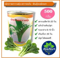 (500 กรัม) ผักกาดกวางตุ้ง หงษ์หยก(ตรารถถัง) น้ำหนักสุทธิ 500 กรัม ราคาสุดคุ้ม ผักกาด ผักกวางตุ้ง ผักสวนครัว ผักกินใบ