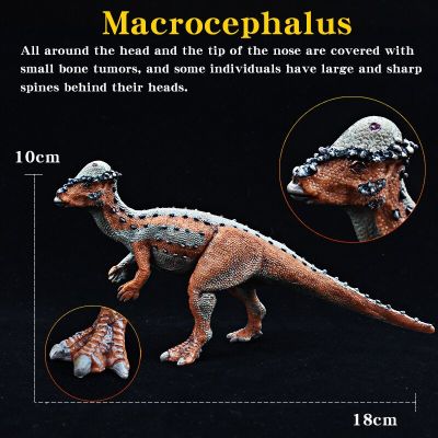 โมเดลแอคชั่นฟิกเกอร์รูปสัตว์ของตกแต่งรูปไดโนเสาร์ยุคจูราสสิกใหม่ (สไตล์) ของเล่นสำหรับเด็กของขวัญวันฮาโลวีน