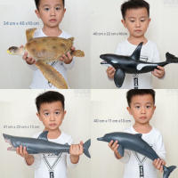 Jumbo animal Model โมเดลไซส์จัมโบ้ (TOY541)