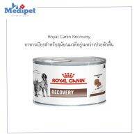 พลาดไม่ได้ โปรโมชั่นส่งฟรี Royal Canin Recovery โรยัล คาร์นิน 1 กระป๋อง 195g อาหารเปียกสำหรับสุนัขและแมวที่อยู่ระหว่างพักฟื้น แบบกระป๋อง สุนัข/แมวพักฟื้น