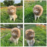 Cute Lion Mane Cat Wig Lion Head Set Cat Clothes Hat Funny Cat Puppy Pet Fancy Costume Cosplay Toys Pet Supplies Accessories