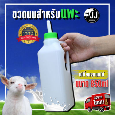 ขวดนมสำหรับแพะ ขนาด 850 ml เปลี่ยนจุกนมได้ สินค้ามาตรฐาน สางตรงจากไทย