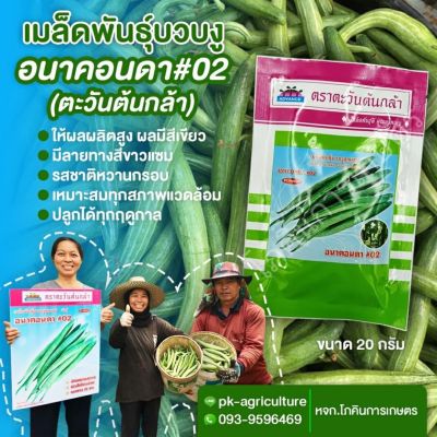 เมล็ดพันธุ์บวบงู อนาคอนดา #02 ขนาด 20 กรัม