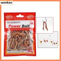 WENKEN 1Pack ใหม่ Peche Worms 6g 10g หนอนใยแห้ง เหยื่อซิลิโคน หนอนทราย เหยื่อตกปลา