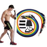 【CW】 50LBS Resistance Bands Set Elastic Rubber for Expander Workout Gym Exercise