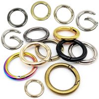 5pcs Round Spring Gate D O Ring Openable Keyring Leather Bag Belt Strap Dog Chain Buckle Snap Clasp Clip Trigger Accessories