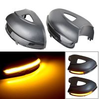 For VW Golf MK6 GTI 6 BORA Touran PASSAT Dynamic Blinker Side Mirror indicator For Volkswagen VI R20 LED Turn Signal Light