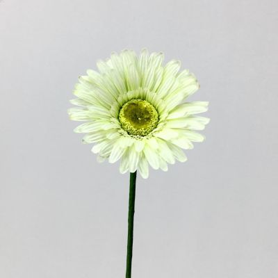 [สุดปัง]  ดอกเยอบีร่าปลอม ARTIFICIAL GERBERA ดอกไม้ประดิษฐ์เกรดพรีเมี่ยม[รหัส]3578
