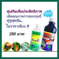 ฟีโนบูคาร์บ 50% EC 1ลิตร+ สารจับใบ 1 ลิตร ชุดคู่สุดคุ้ม กำจัดเพลี้ย น๊อคเพลี้ย ยาฆ่าเพลี้ย  เพลี้ยกระโดด เพลี้ยไฟ เพลี้ยอ่อน เพลี้ยหอย