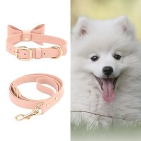 [COD] New pet dog bow collar traction suit anti-lost cute princess style walking artifact wholesale