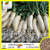 เมล็ดพันธุ์ หัวไชเท้าญี่ปุ่น มิโนวาเสะ 200 เมล็ด Japanese Minowase Radish เมล็ดพันธุ์แท้ นำเข้าจากต่างประเทศ ไดคอน โตไว