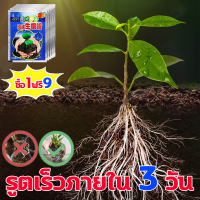 ?น้ำยาเร่งราก พืชมีรากเยอะๆ!?รูตเร็วภายใน 3 วัน ซื้อ1ฟรี9 ยาเร่งราก อุดมไปด้วยไนโตรเจน ฟอสฟอรัส และโพแทสเซียม b1 น้ำยาเร่งราก เร่งราก ใช้ได้พืชทุกชนิด ผงเร่งรากพืช ช่วยให้พืชหยั่งรากได้เร็ว ผงเร่งราก ปุ๋ยเร่งราก