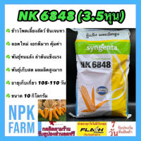 ข้าวโพดเลี้ยงสัตว์ เอ็นเค NK 6848 เบอร์2 (3.5 หุน) ขนาด 10 กิโลกรัม ซินเจนทา เมล็ดกลมกลาง ลอตใหม่ หมดอายุ 05/2567 งอกดี ทนแล้ง ผลผลิตสูง เก็บสด