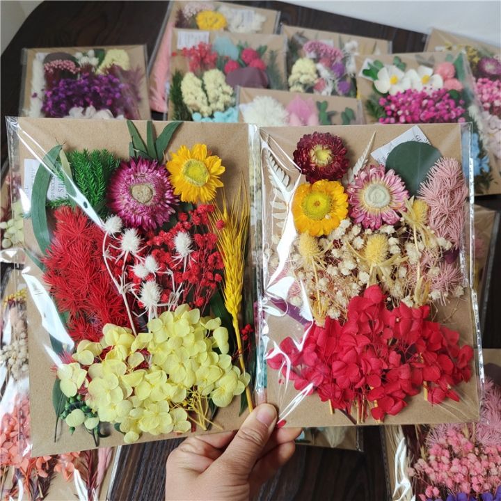 ayiq-ร้านขายดอกไม้-งานประดิษฐ์รักษาสภาพแบบทำให้แห้งแบบทำมือสำหรับทำแม่พิมพ์เรซินเทียนหอมอุปกรณ์ตกแต่งเล็บงานประดิษฐ์สำหรับบ้าน