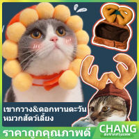 【CHANG】COD หมวกสัตว์เลี้ยง หมวกแมว หมวกตุ๊กตา หมวกหมา หมวกการ์ตูน เสื้อผ้าสัตว์เลี้ยง หมวกแมวน่ารัก สุนัข กระต่าย
