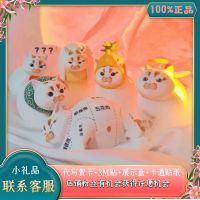 Genuine Animal Planet Bilizoo Loulou Piggy Series Blind Box Tide Play Loulou Cat Hand-Made Decoration Gift 【MAY】