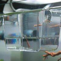 Multifunctional Clear Mini Aquarium Fish Tank Hatching Incubators for Goldfish