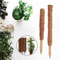 Garden Coir Totem Coconut Palm Sticks Moss Pole Pole Moss Stick Vine Support Plant For Climbing Plants Support Extension Food Storage  Dispensers