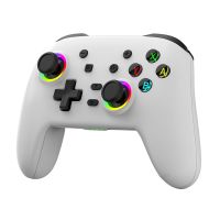 Tears of the Kingdom Game Controller for Switch Pro OLED Game Console Gamepads Joystick