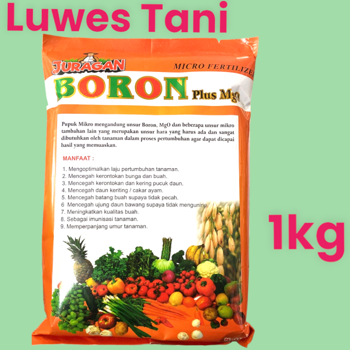 Pupuk Boron Plus Magnesium Juragan 1 Kg Micro Fertilizer Tanaman Anti ...