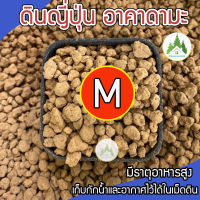 ดินญี่ปุ่นอคาดามะ (Akadama) ไซส์ M มีธาตุอาหารสูง เก็บกักน้ำและอากาศไว้ได้ในเม็ดดิน?