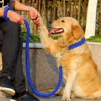 17 colors 1.2M Length Double Strand Rope Large Dog Leashes Metal P Chain Buckle National Color Pet Traction Rope Collar Set A07