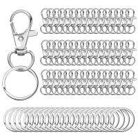 100PCS Swivel Clasps Lanyard Snap Hooks with Key Rings Key Chain Clip Hooks Lobster Claw Clasps for Keychains Jewelry DIY Crafts Key Chains