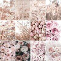 【CW】 Frame Diy Painting By Numbers Pink Flowers Paint Canvas Handpainted Artcraf