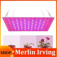 Merlin Irving Shop Power LED Plant Grow Light Lamp Kit Phytolamp For Flower 2835 Beads Growth Lighting Full Spectrum Indoor Hydroponics