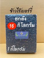 (16 กิโลกรัม) ข้าวใหม่ ข้าวไรซ์เบอร์รี่ ถูกสุดๆ ต่อต้านอนุมูลอิสระได้ดี เสริมสร้างประสิทธิภาพในการไหลเวียนของเลือด ซีลสูญญากาศ