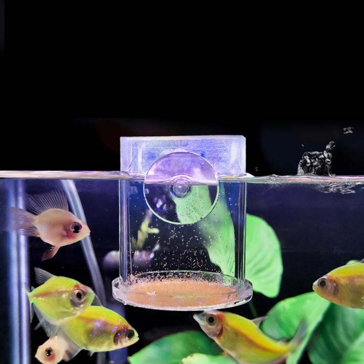 Petery Fish Feeder Transparent Acrylic Artemia Column Fish Feeder Fish