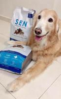 อาหาร  Sen สุนัขสูตรควบคุมน้ำหนัก10 kg Grain Free กลิ่นทูน่า เม็ดเล็ก 3 มม. สำหรับสุนัขอ้วน สุนัขแพ้ง่าย บำรุงขน ผิวหนัง สุขภาพดี