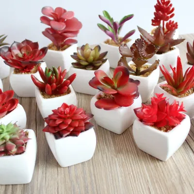 New 1Pcs Mini Vivid Cactus Succulent Home Garden Decoration Artificial Bonsai Plant with Vase for Office Table Decoration