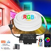 1 Tuya แถบนีออนแอลอีดีไวไฟเส้นไฟ RGB 220V EU Impermeabile IP67 Nastro Flessibile 1-100M ปากการูปหัวใจ LED 5050รีโมทแอพพ์บลูทูธ